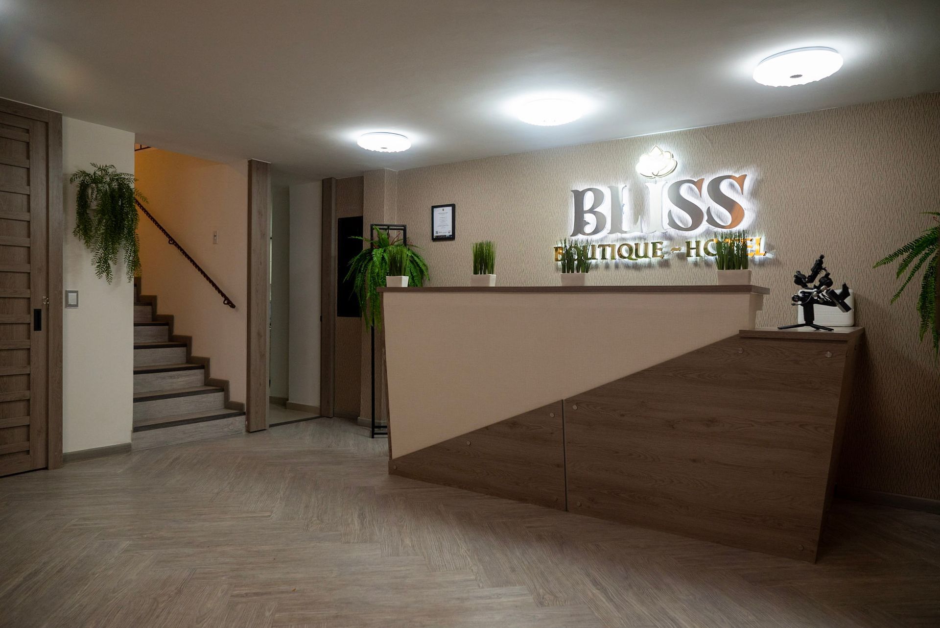 El mostrador de recepción del hotel Bliss Boutique Hotel, con paneles en tonos madera, plantas de interior y una escalera cercana.