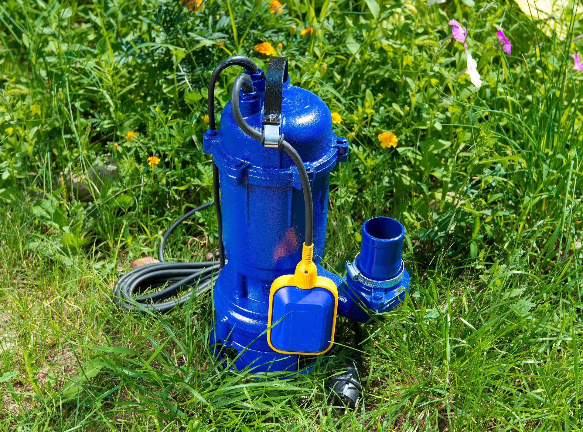 Blue electric water pump with hose and cord sitting in grass and wildflowers