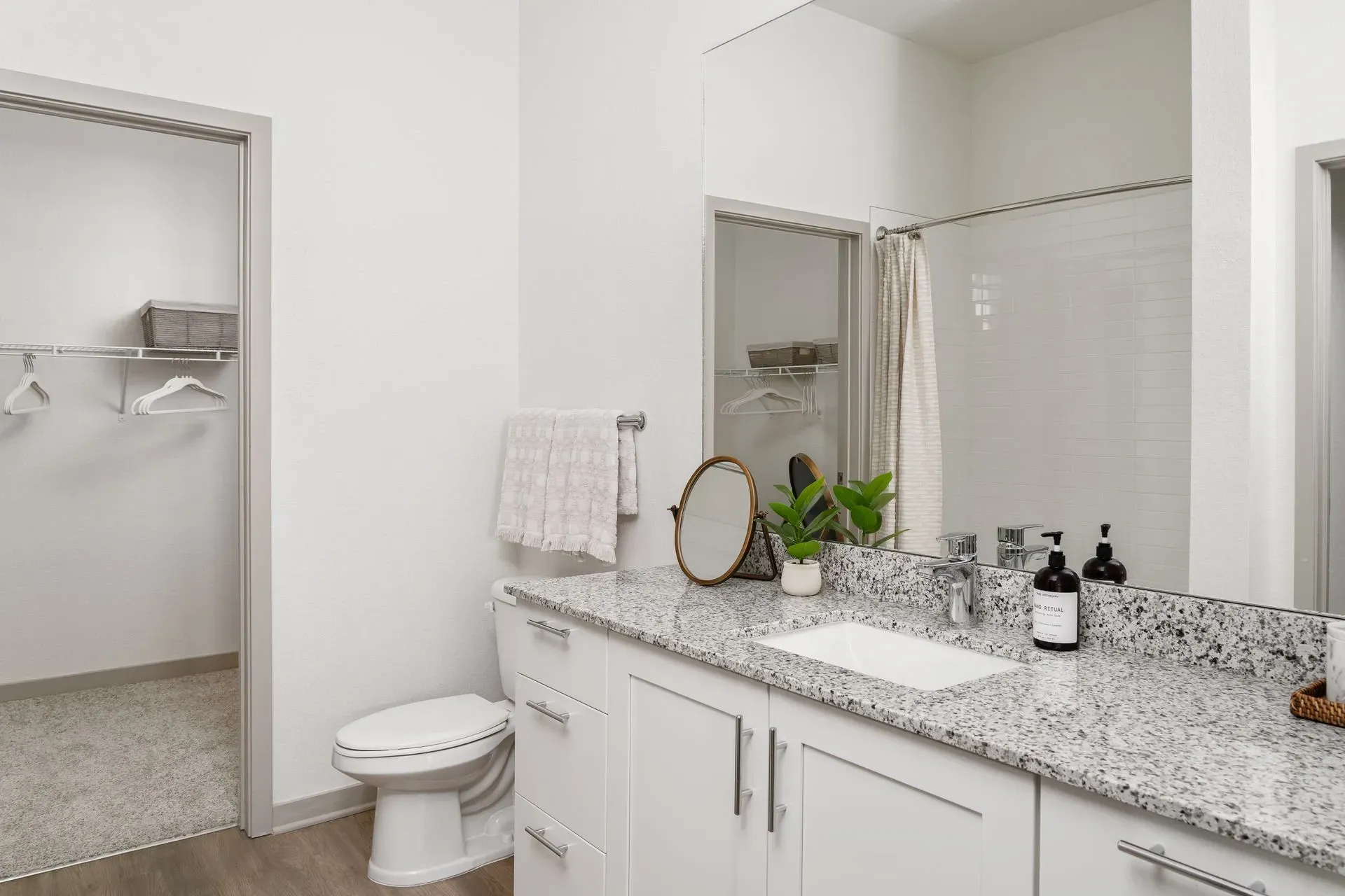 Bathroom with vanity, toilet, and walk-in closet.