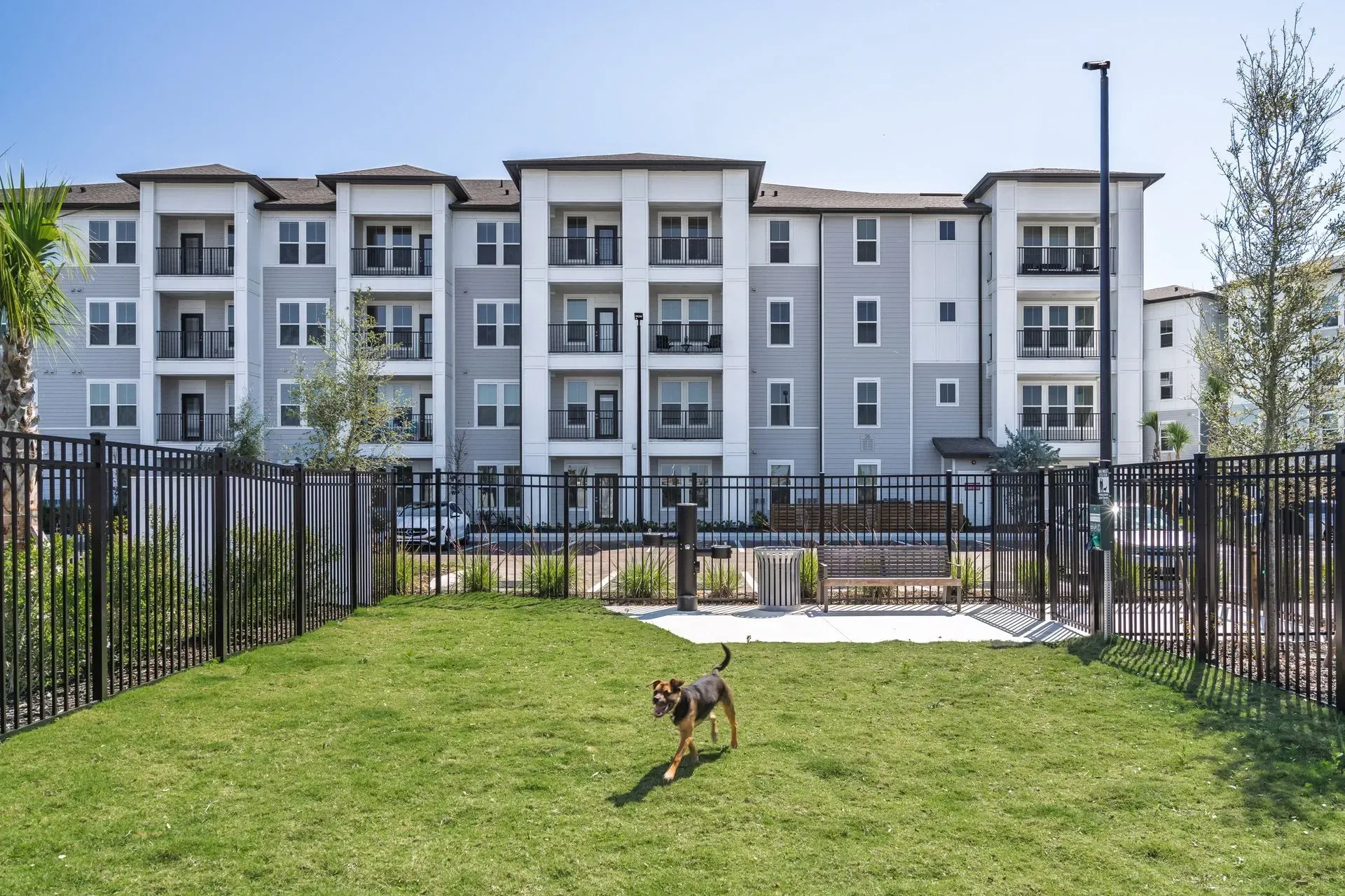 A dog runs through a fenced-in grassy dog park with a modern apartment building in the background.