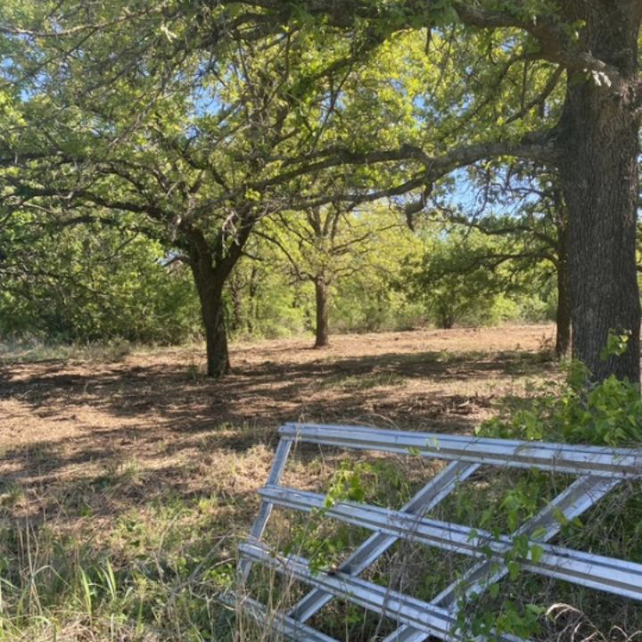 Sunny wooded field with oak trees and a metal gate in the foreground
