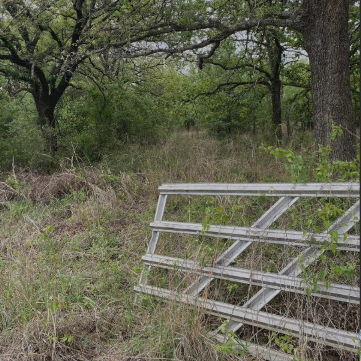 Overgrown grassy field with trees and a white metal gate in the foreground