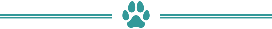 Paw Print — Lakeside, MT — Monica's Pet Grooming & Boarding Paw Print — Lakeside, MT — Monica's Pet Grooming & Boarding