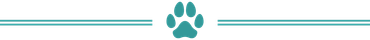 Paw Print — Lakeside, MT — Monica's Pet Grooming & Boarding Paw Print — Lakeside, MT — Monica's Pet Grooming & Boarding