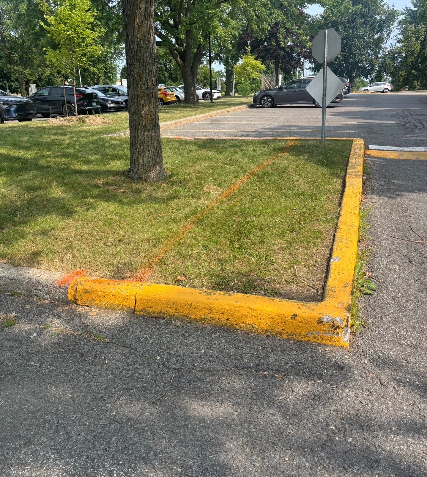 Bordure jaune autour d'un coin herbeux à côté d'un parking arboré avec des voitures garées.