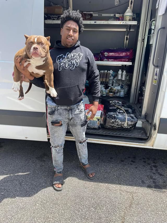 Person standing by an open van, holding a brown-and-white dog; supplies visible inside the van.