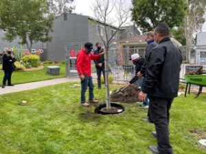 men planting trees
