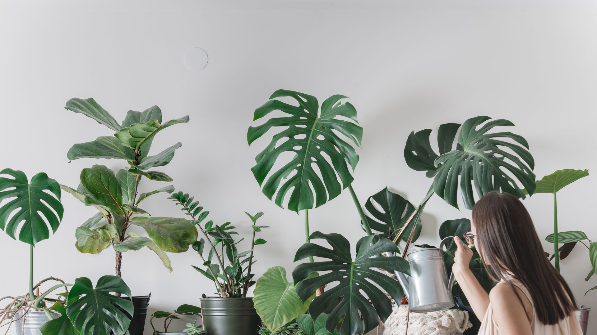 woman watering plants