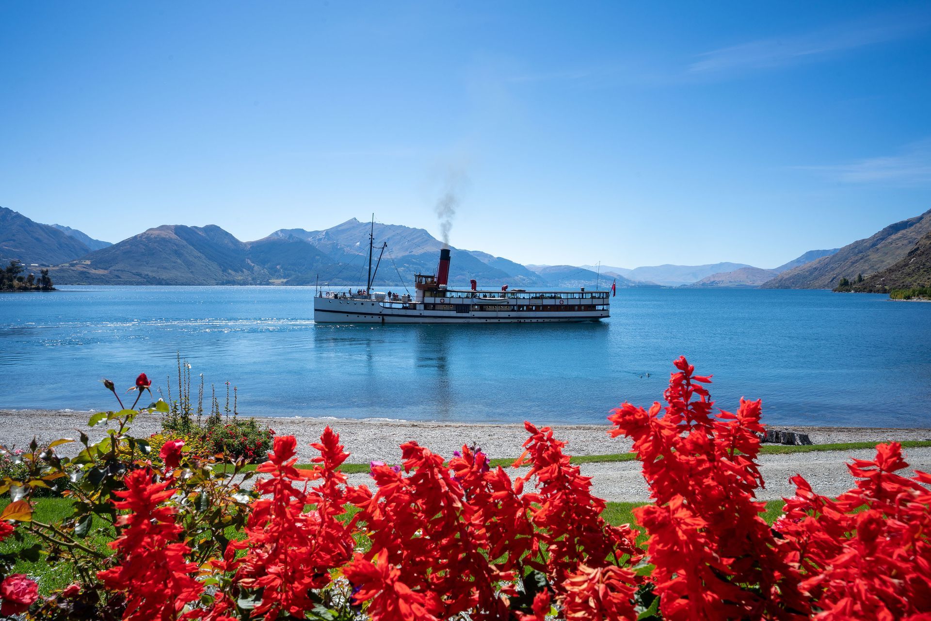 TSS Earnslaw steamship cruising on Lake Wakatipu with red flowers mountains and clear blue sky in Queenstown