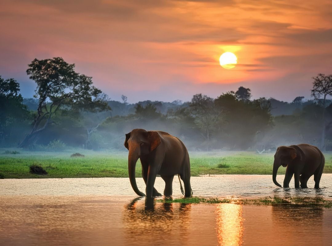 SriLanka Escorted Tour