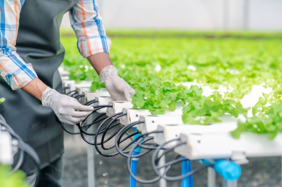 watering system for hydroponic growing