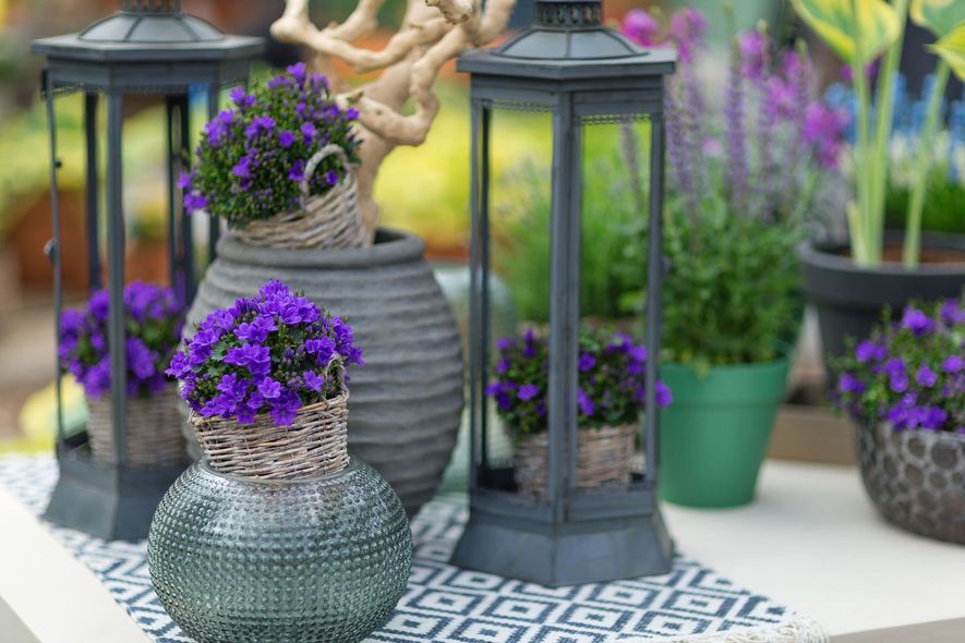 Fiori viola decorativi in cesti intrecciati e lanterne su un tavolo decorato all'aperto