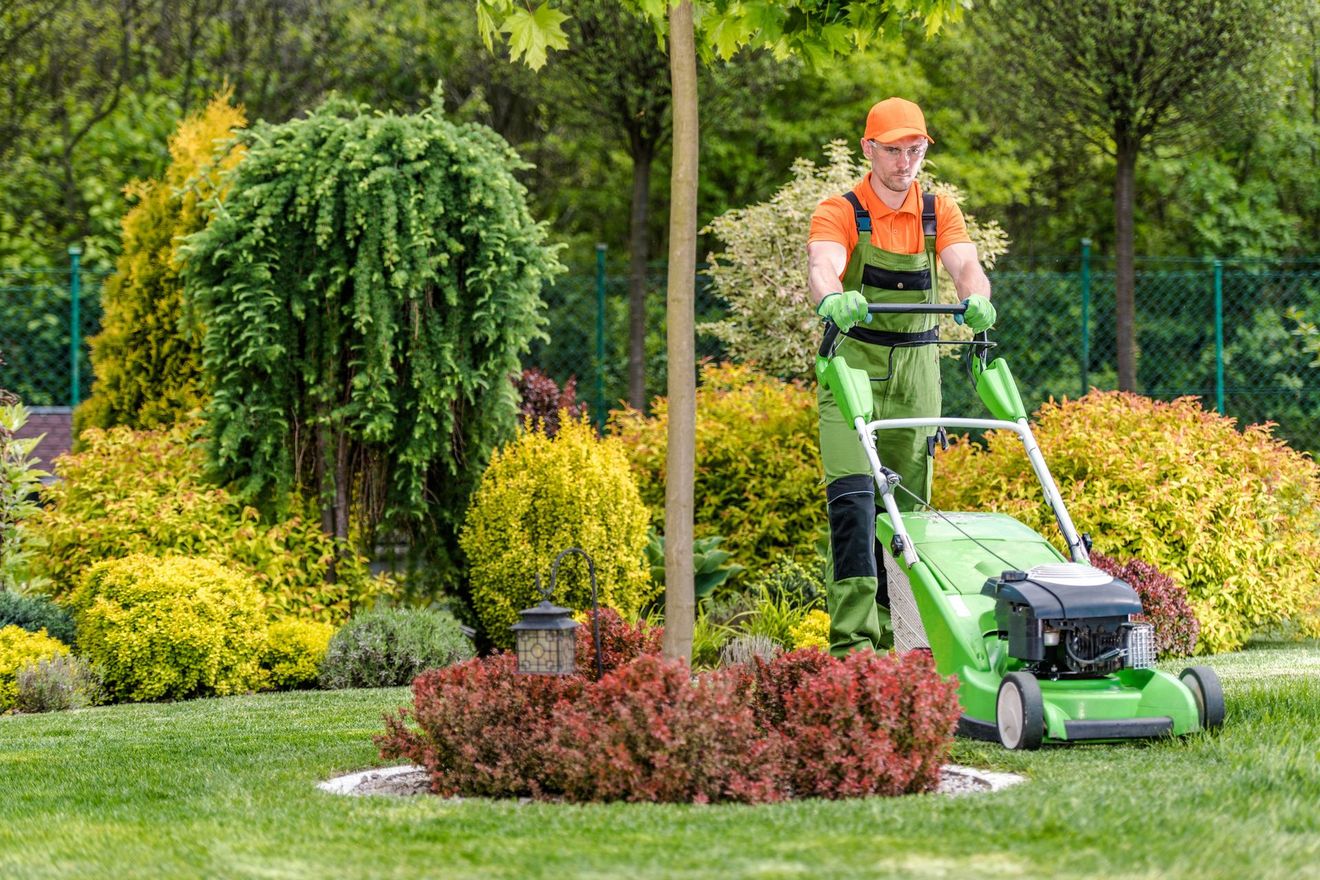Un giardiniere falcia un prato verde e rigoglioso in un giardino colorato con arbusti e alberi.