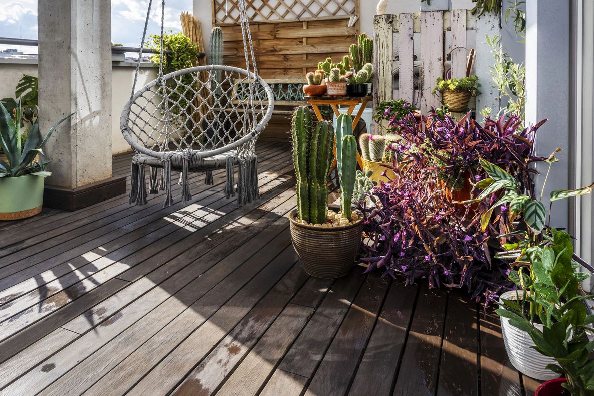 Patio soleggiato con sedia sospesa, piante in vaso e un colorato arbusto viola su una terrazza in legno.