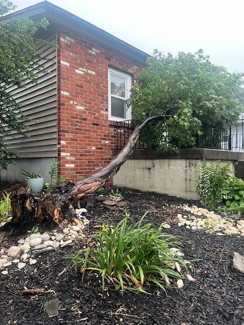 Downed trees and logs in a yard with a crane truck and fence beside houses