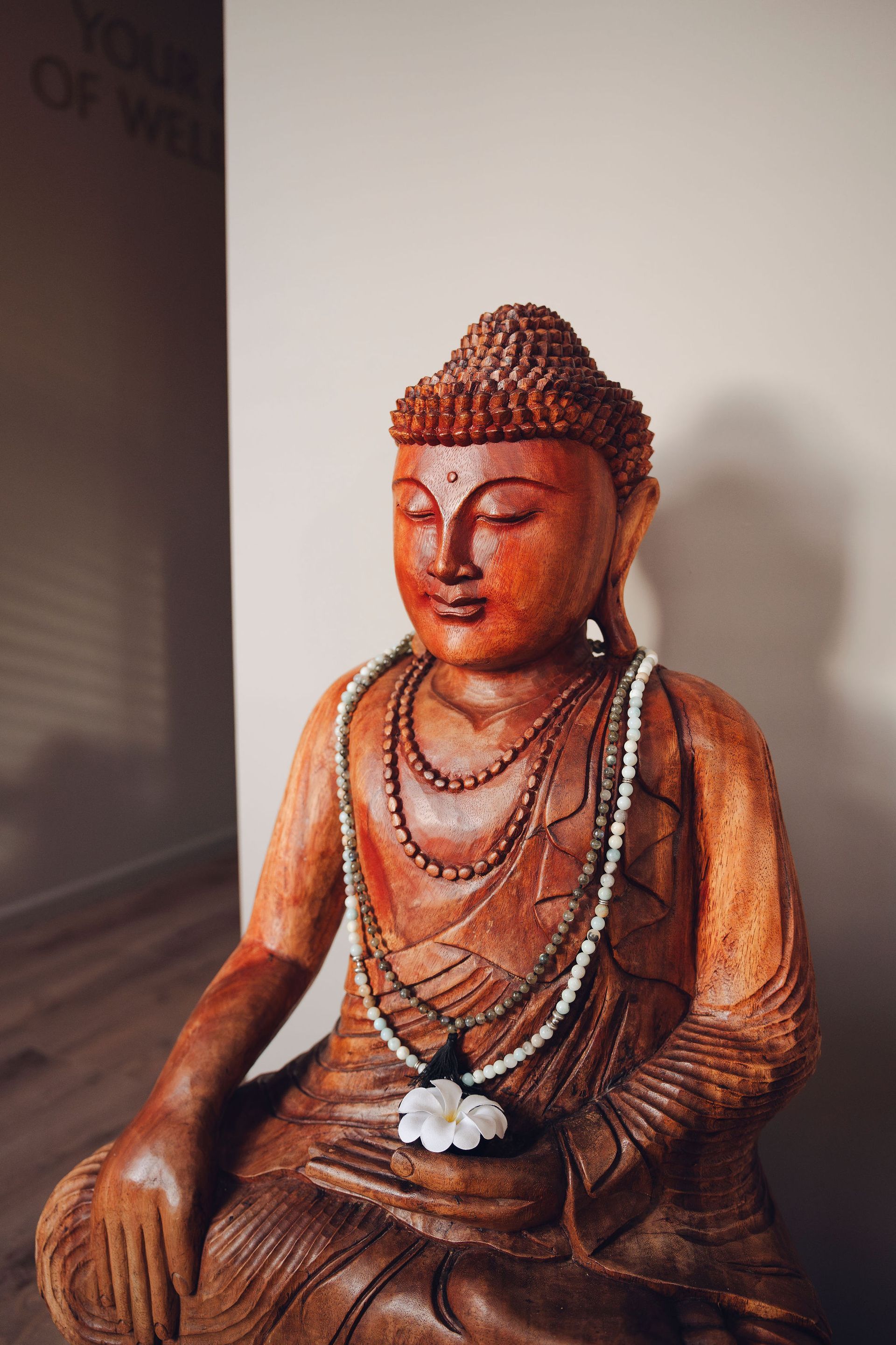 Boeddha binnen de studio
