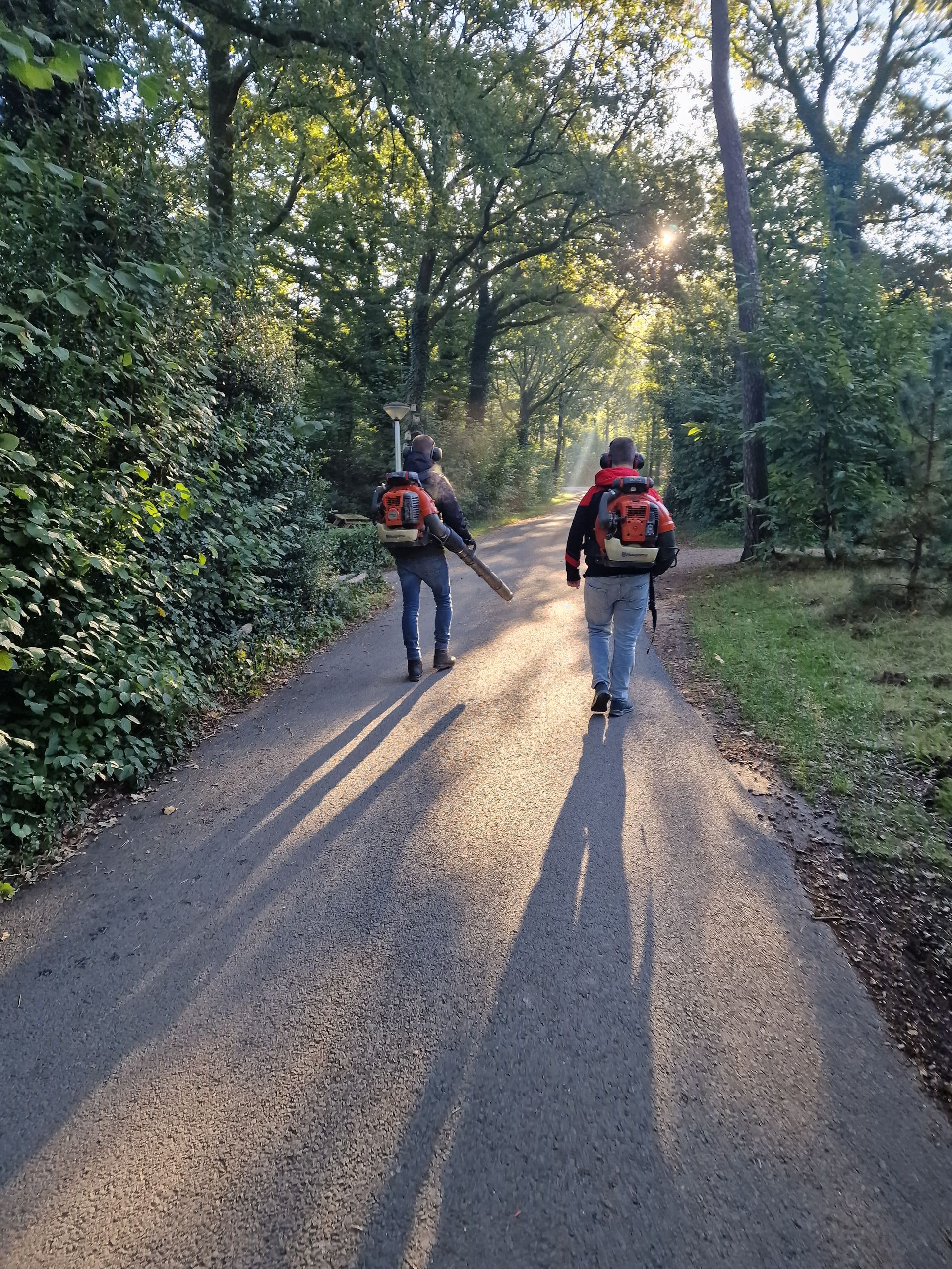 Twee mensen met bladblazers op hun rugzak lopen over een verhard pad door een zonnig bos.