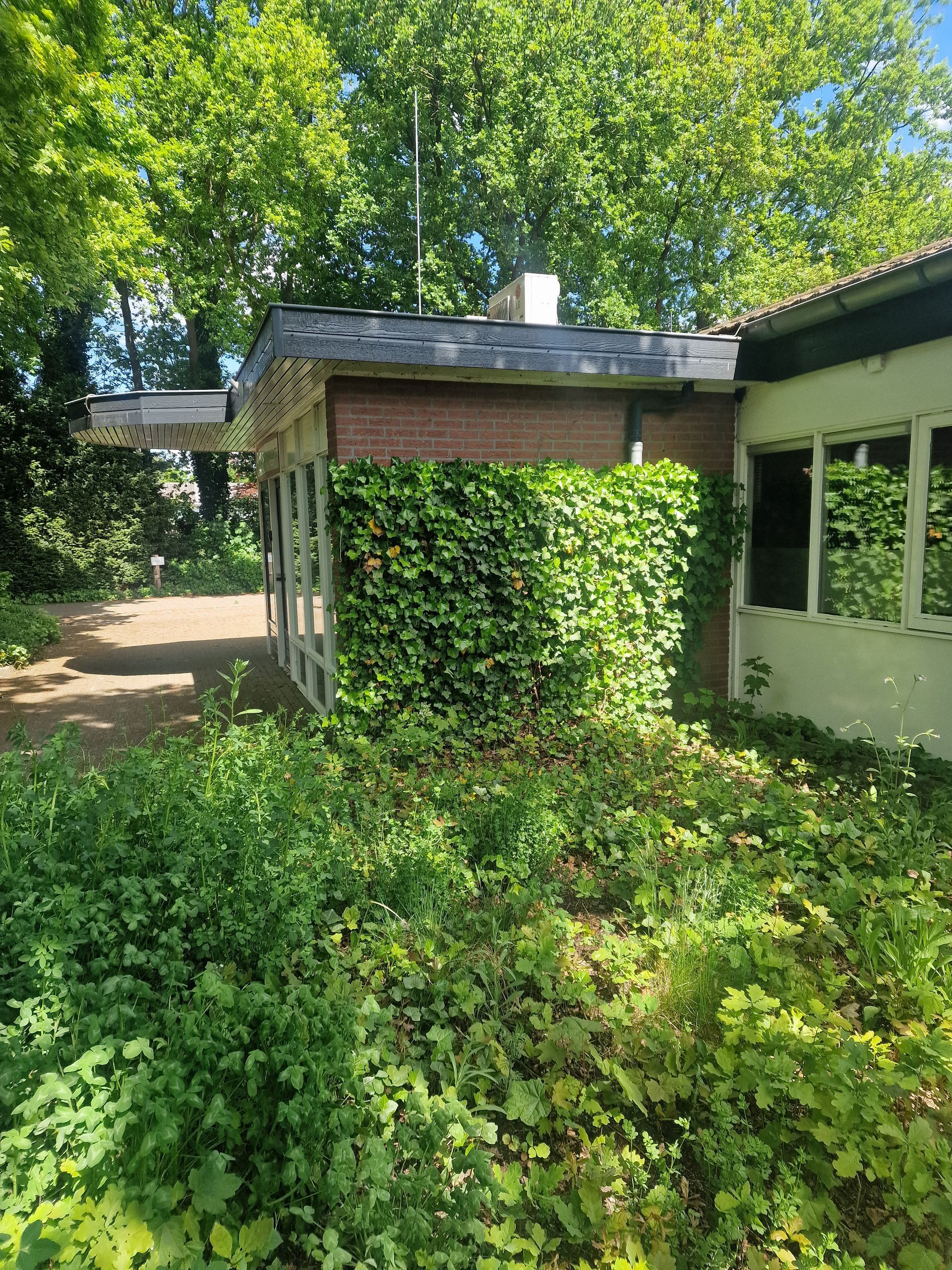 Een gebouw met een bakstenen muur begroeid met klimop en ramen, omgeven door weelderig groen.