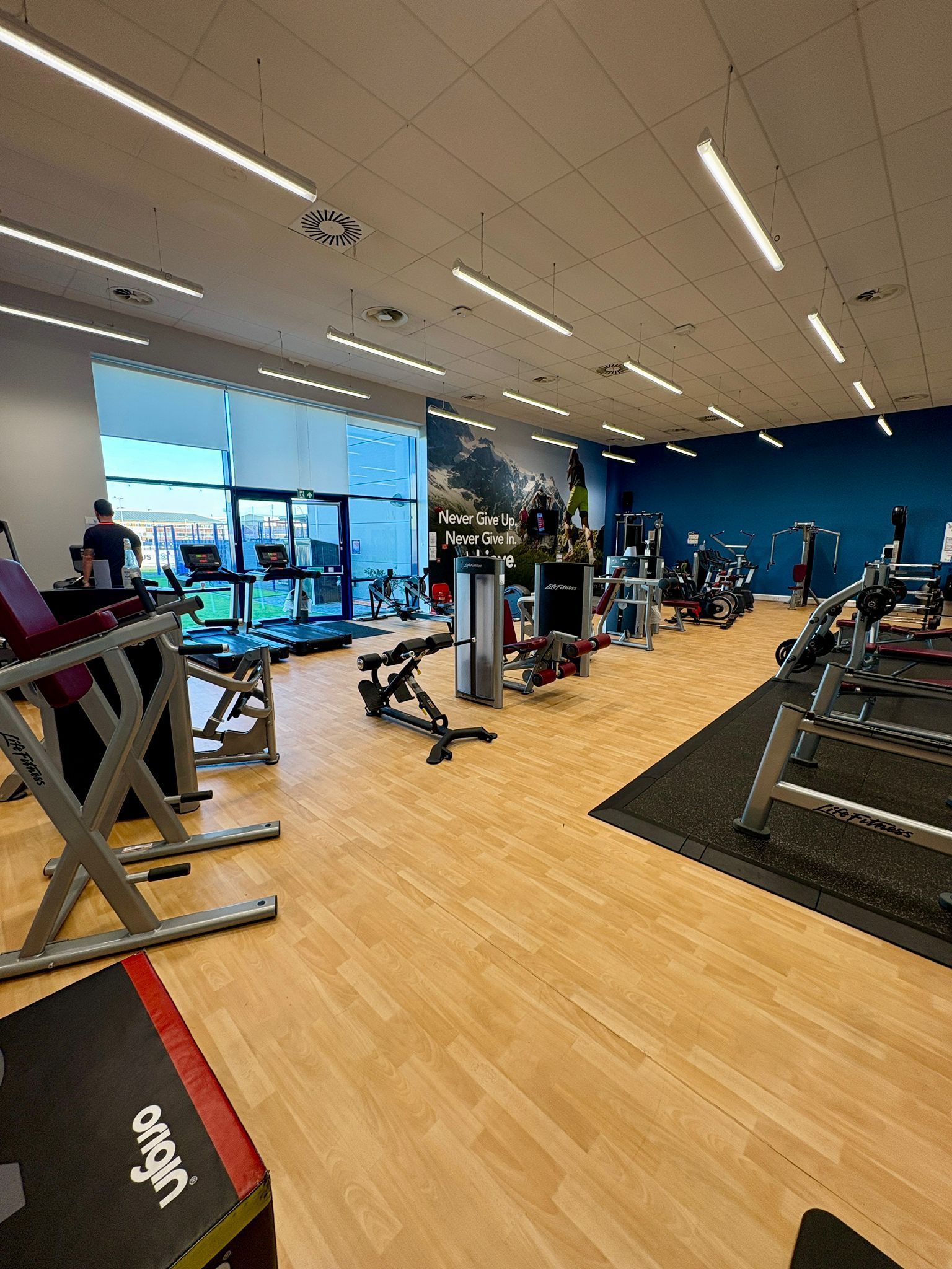 Gym interior with workout equipment: treadmills, weights, and machines. Bright, open space with blue and wood accents.