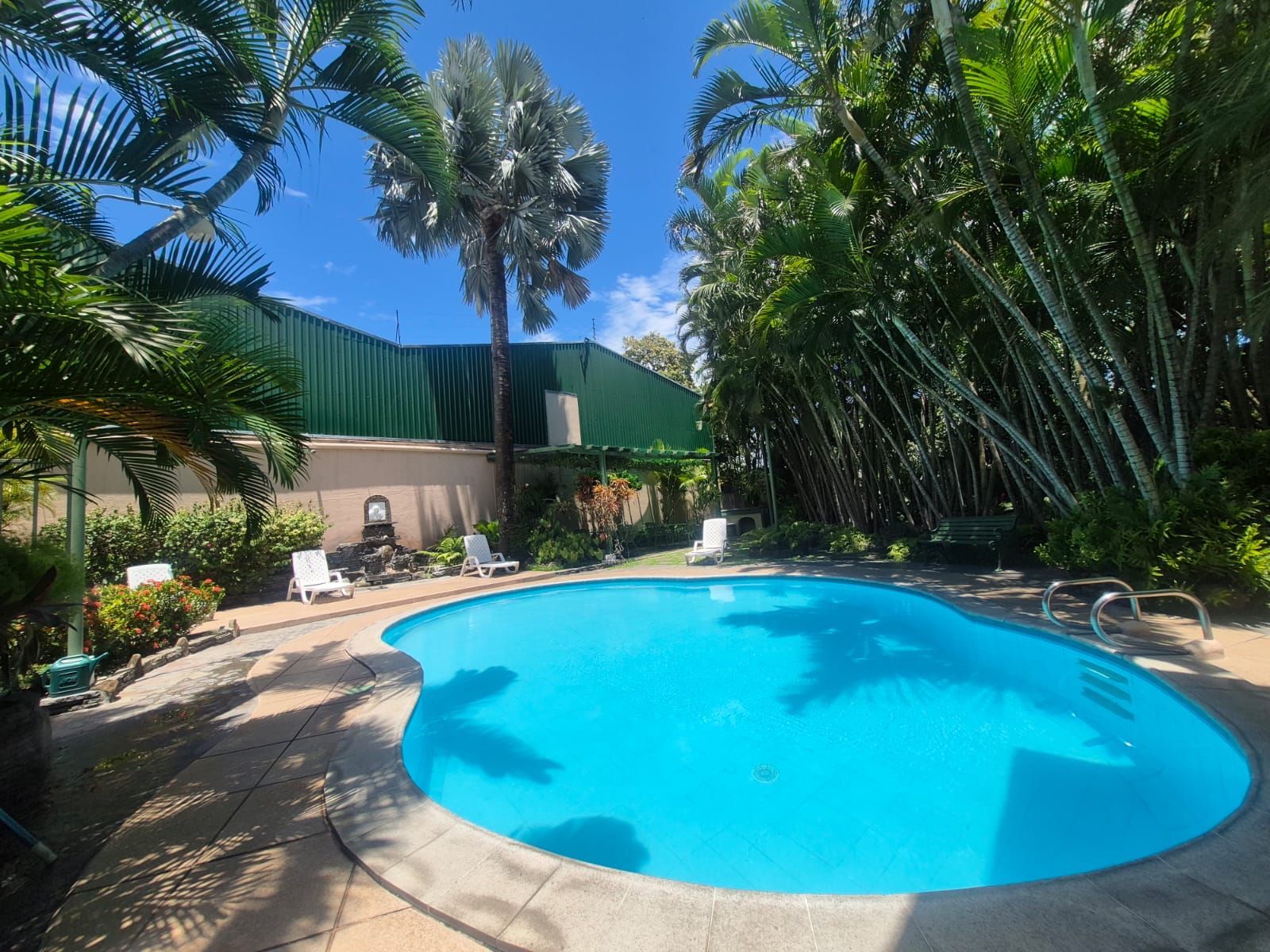 Piscina tropical en el patio trasero con palmeras, agua azul y un patio soleado.
