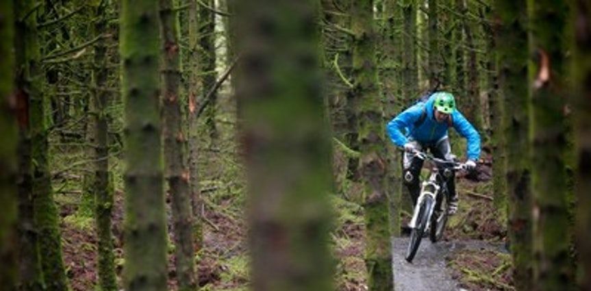Mountain biker in blue gear rides through a forest trail among tall trees.