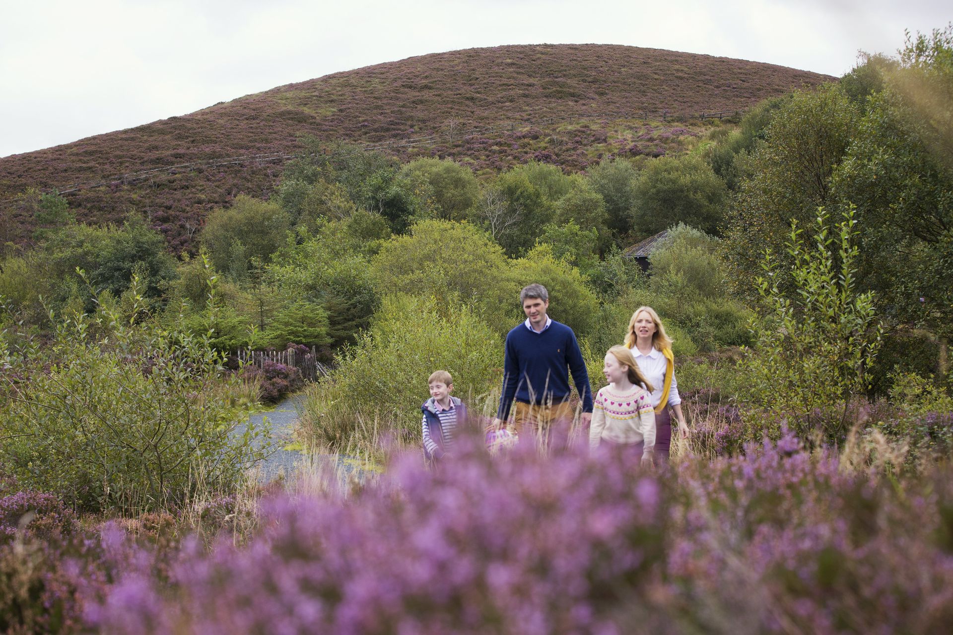 Family walking through a purple wildflower field with green hills in the background