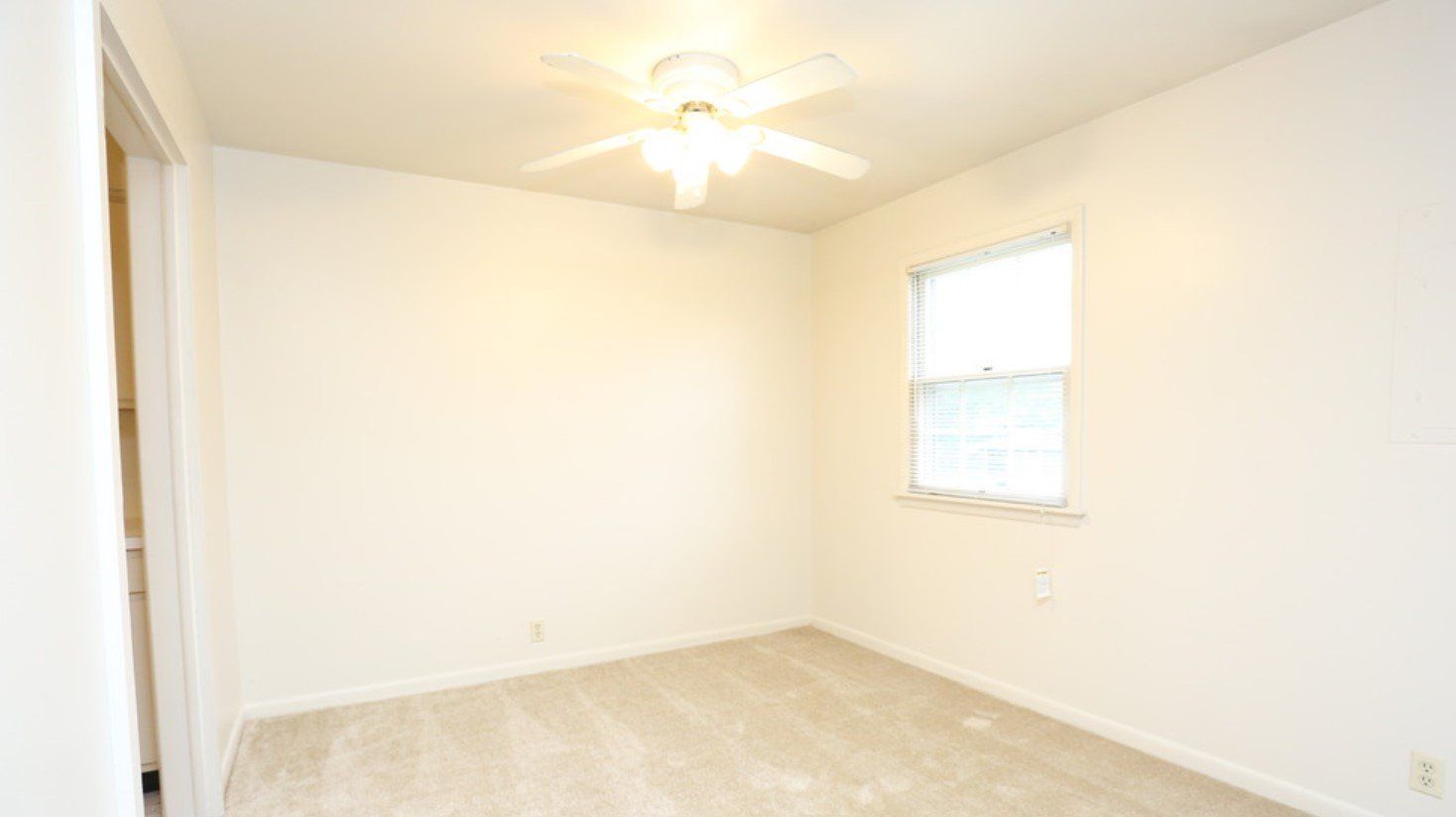 Wedgewood Property Photo