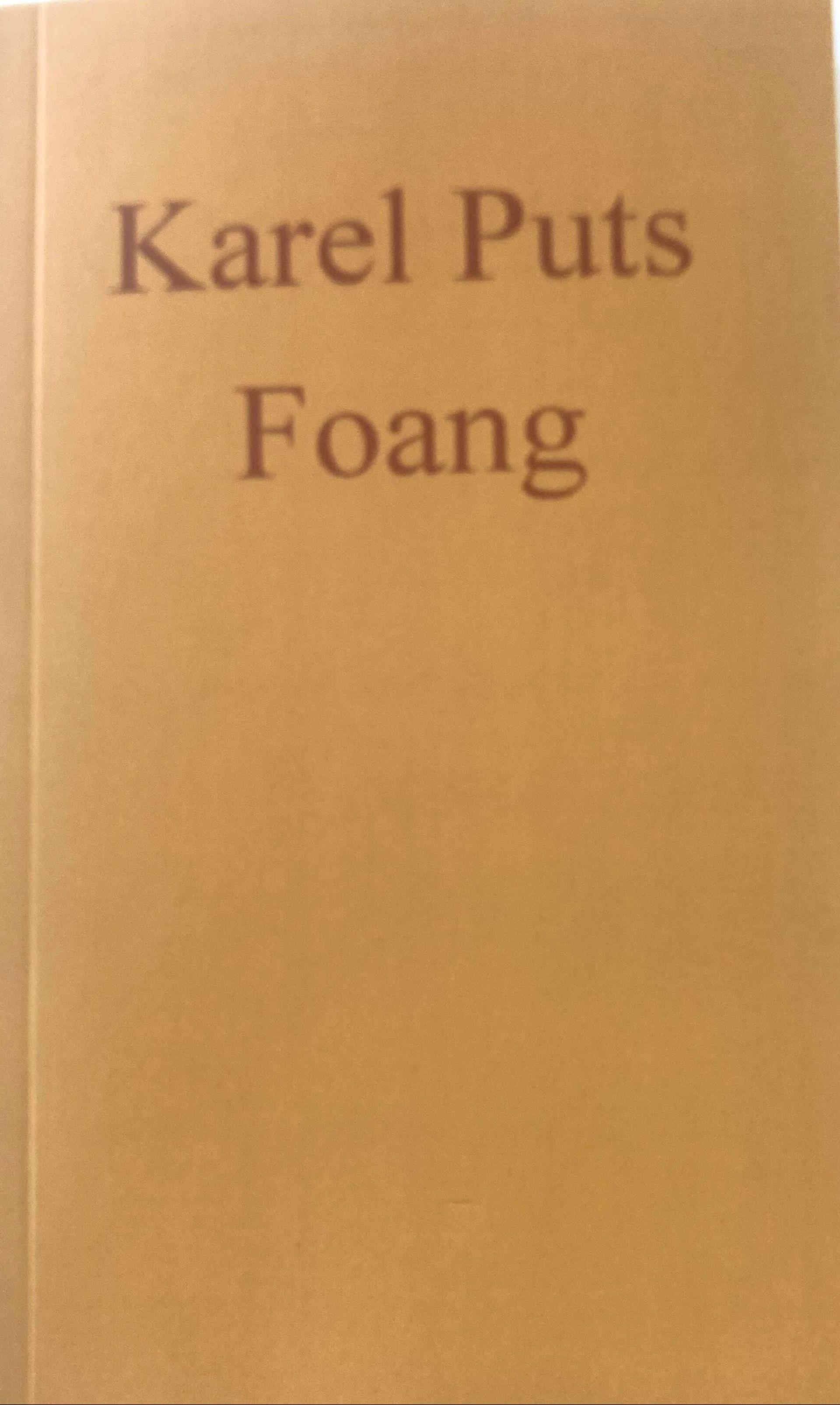 Boek, Foang, Karel Puts Literatuur, fictie;
