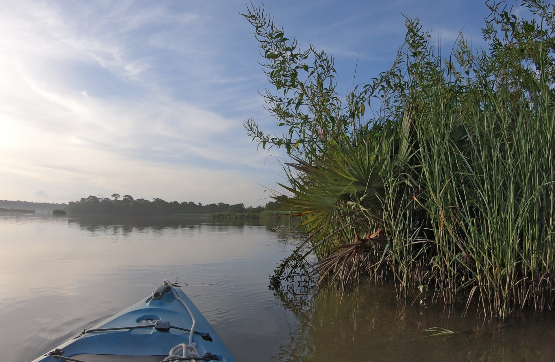 Armand Bayou from kayak