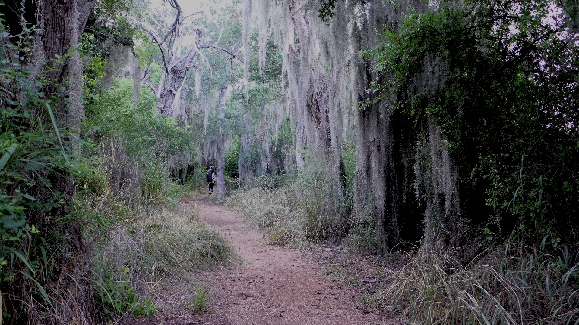 Santa Ana National Wildlife Refuge