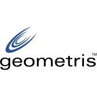 Geometris logo with blue swoosh icon and black lowercase text on a white background