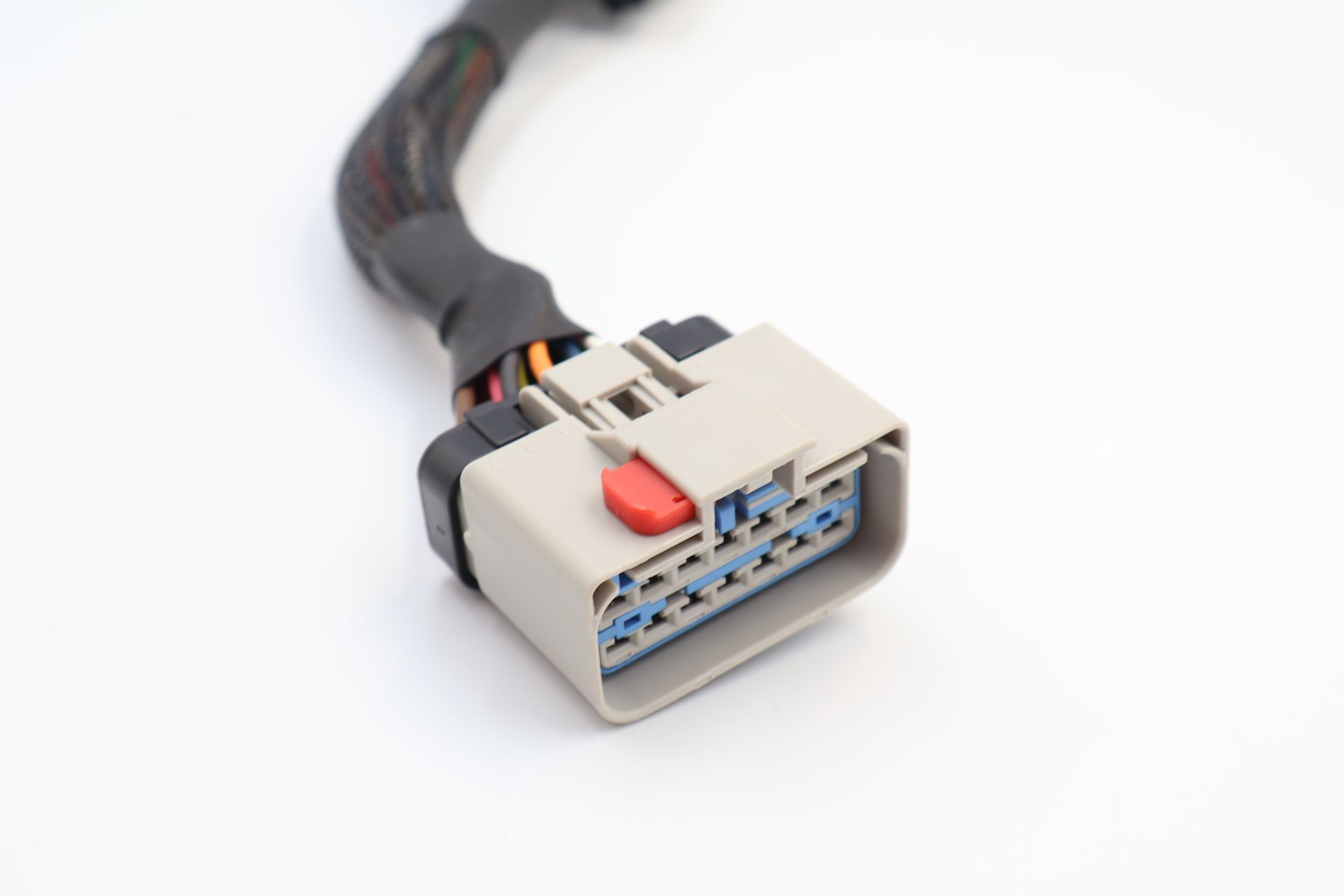 Close-up of a gray electrical wiring connector with blue pins and black cable on white background