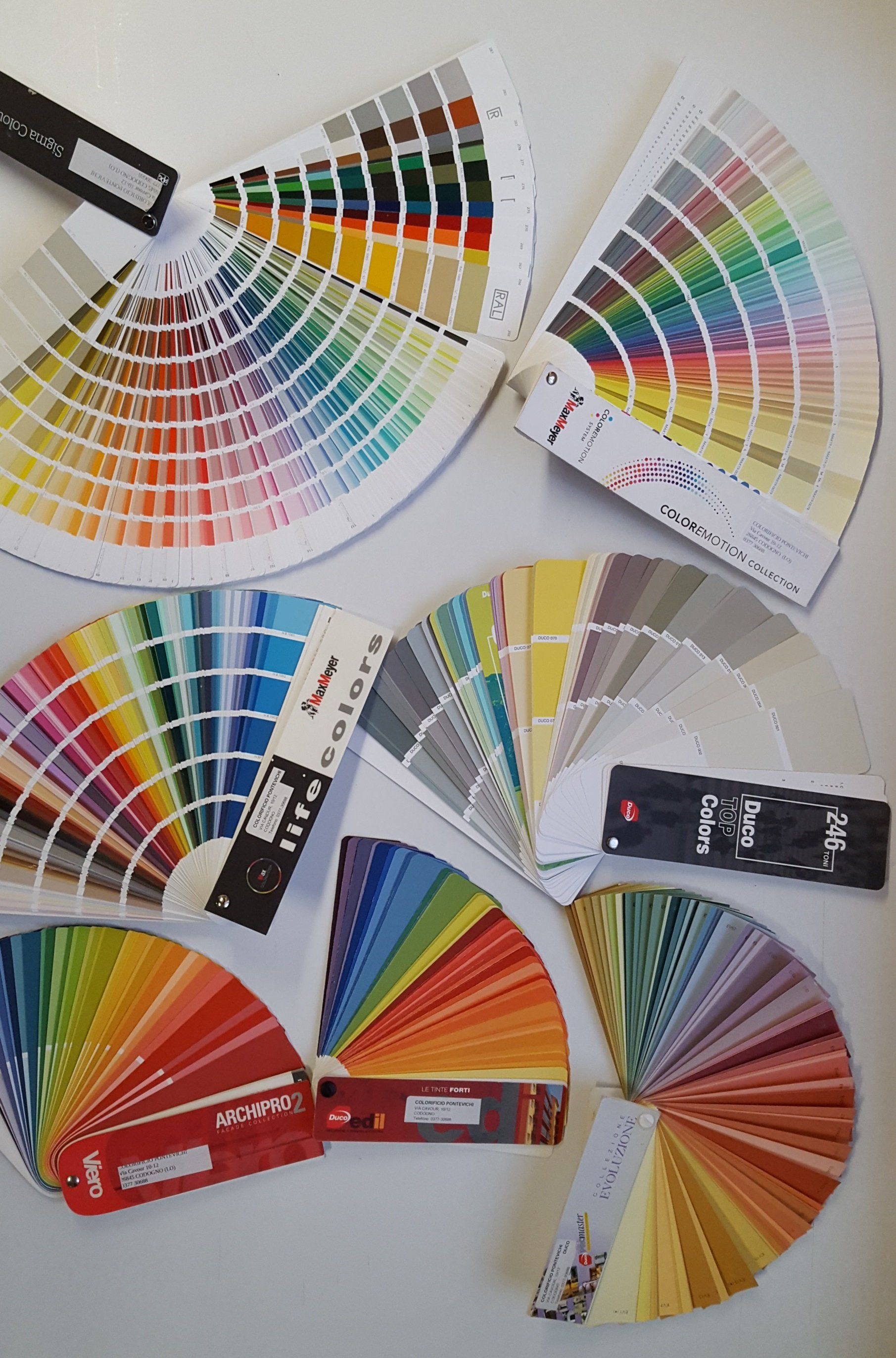 campioni di colori