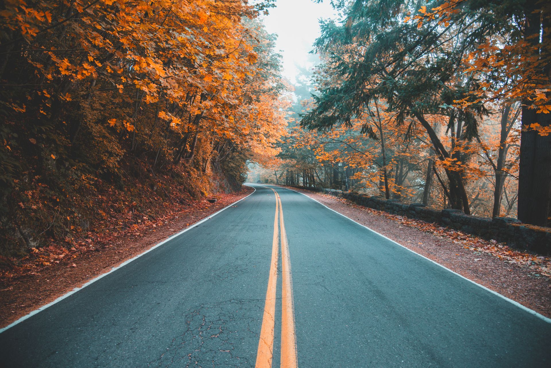 Empty winding road through autumn trees with orange leaves and double yellow lines
