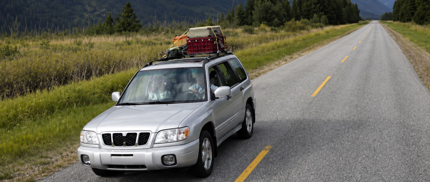 Silver SUV parked on a rural road shoulder with a loaded roof rack, beside grassy fields and trees