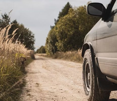 SUV on a dirt road, tall grass and trees in background, overcast sky.