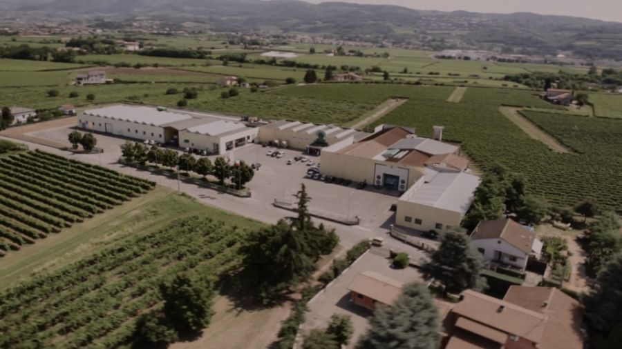 Cittadella del Gusto