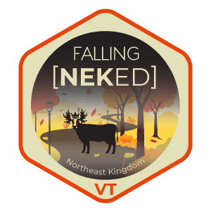 Fall foliage in Vermont