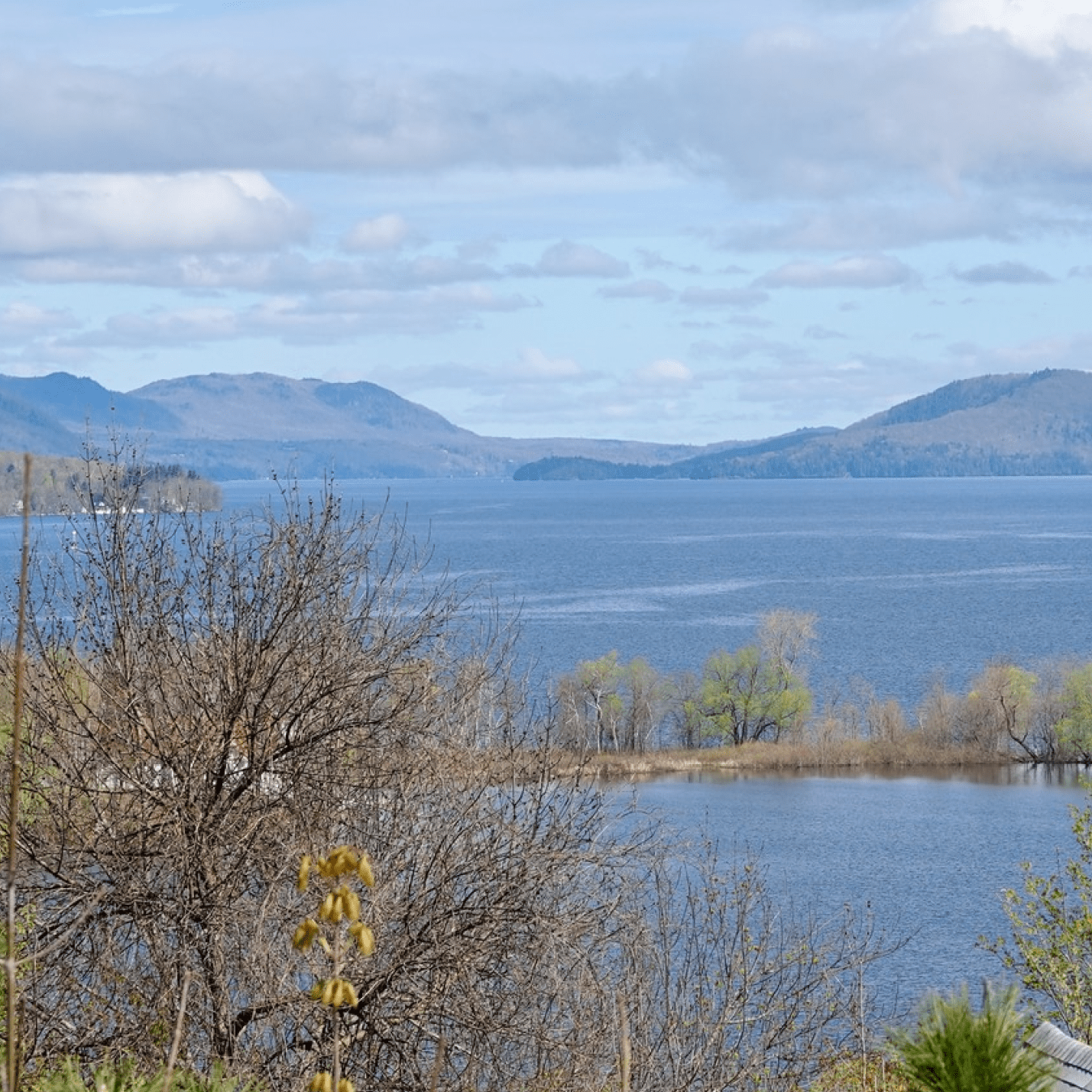View of Lake Memphremagog with trees in the foreground, mountains in the background, and a cloudy sky.