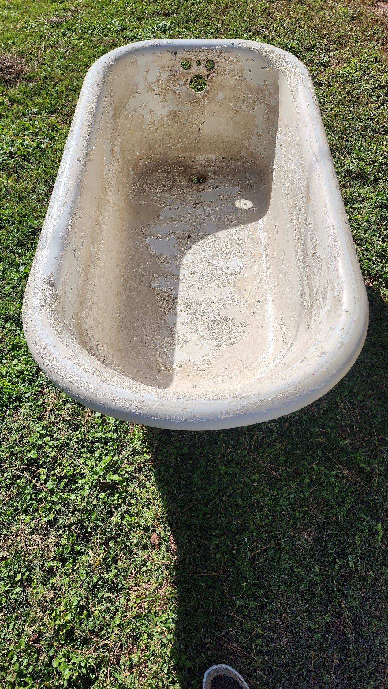 Dirty white bathtub outdoors on grass, with stains and moss inside
