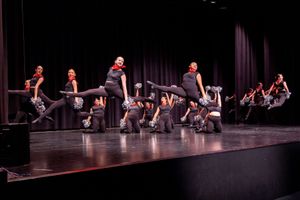 Dance troupe performing synchronized kicks on a stage under purple lighting