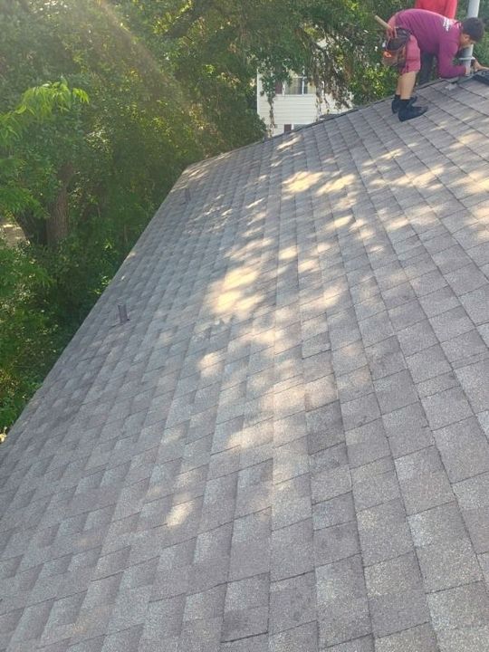 Two people inspecting a sloped shingle roof beside trees in bright sunlight