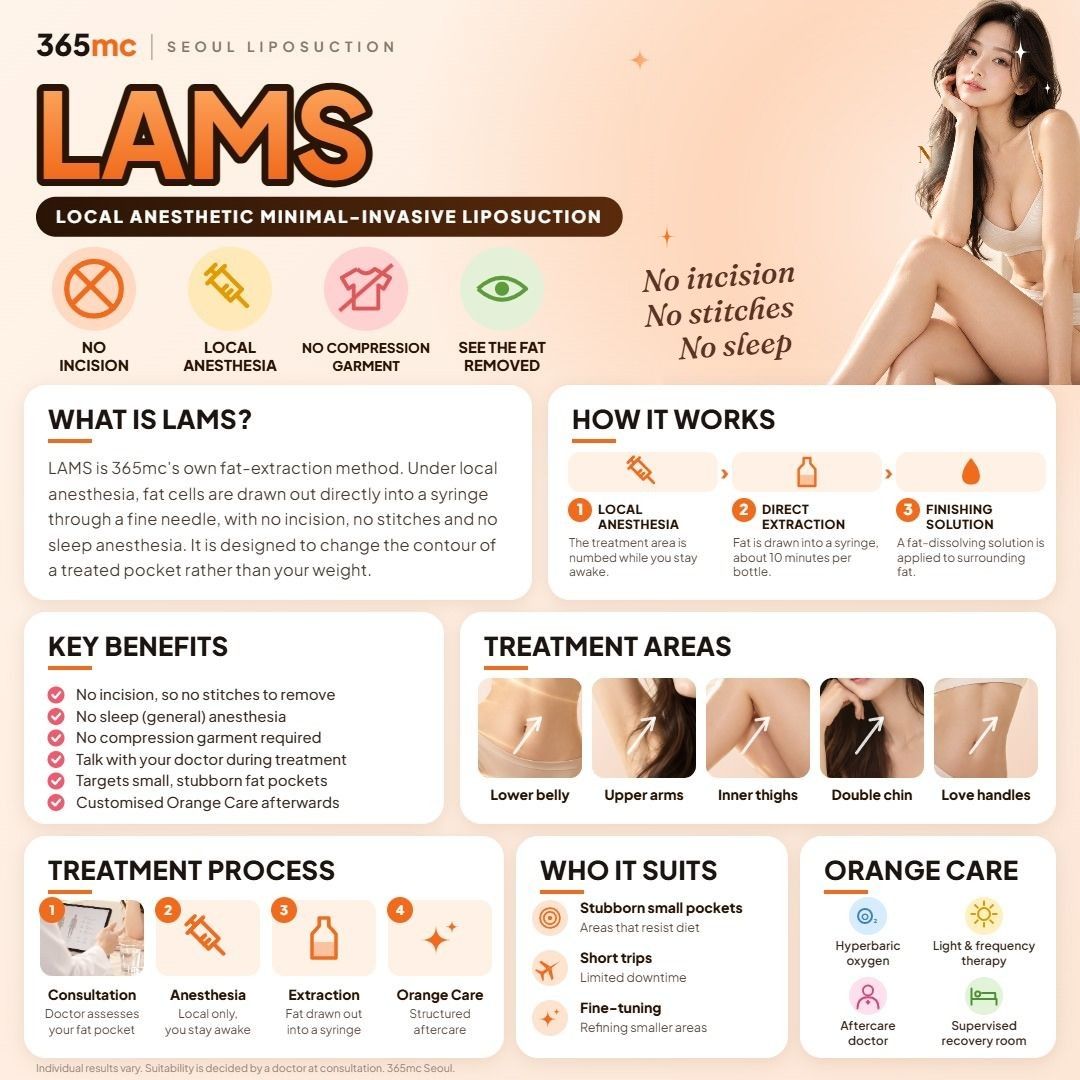 LAMS infographic - 365mc Seoul
