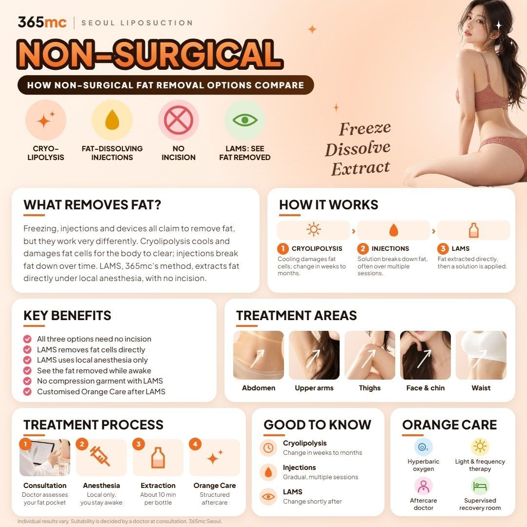 Non-Surgical Fat Removal infographic - 365mc Seoul
