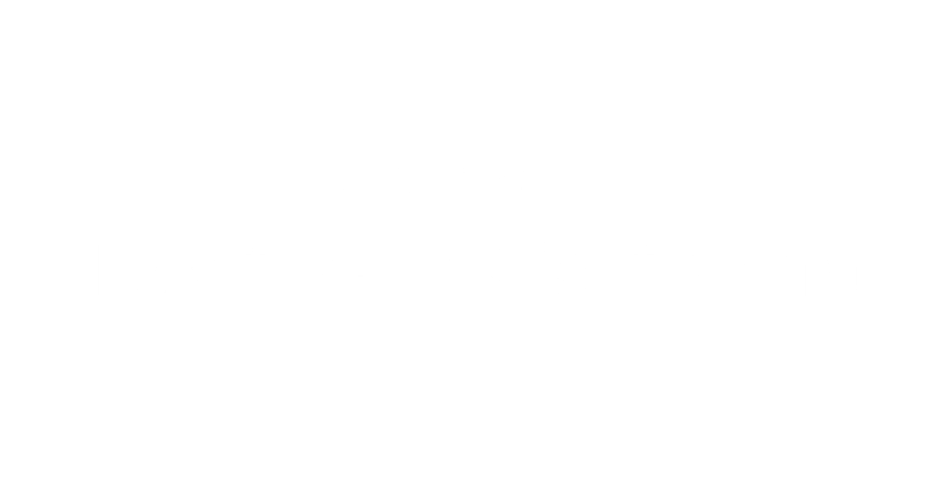 Light Logo