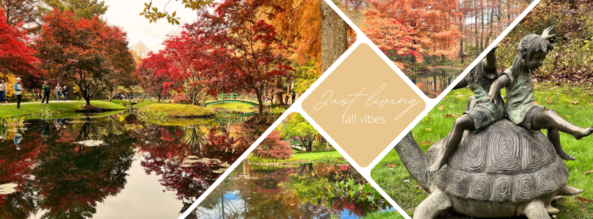 Autumn scene: pond with reflections, colorful trees, and a sculpture of children on a turtle.