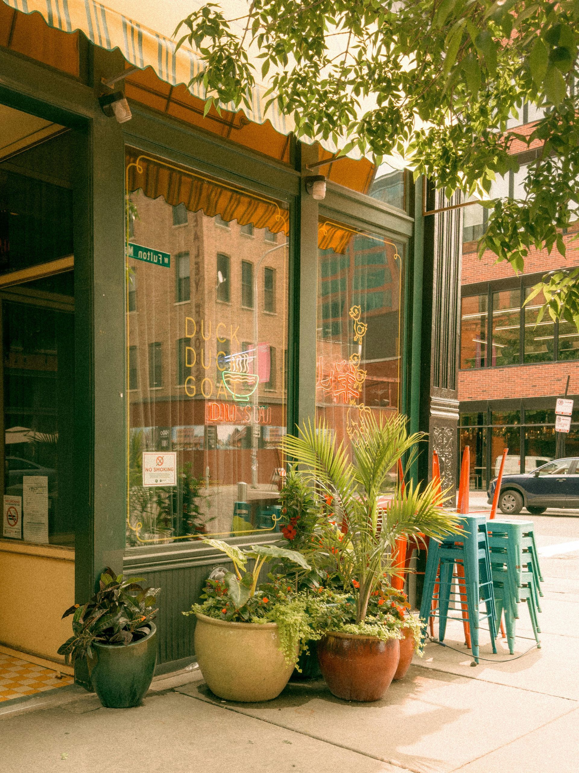 Potted plants sit on a sidewalk in front of a shop with a yellow striped awning and large glass windows.
