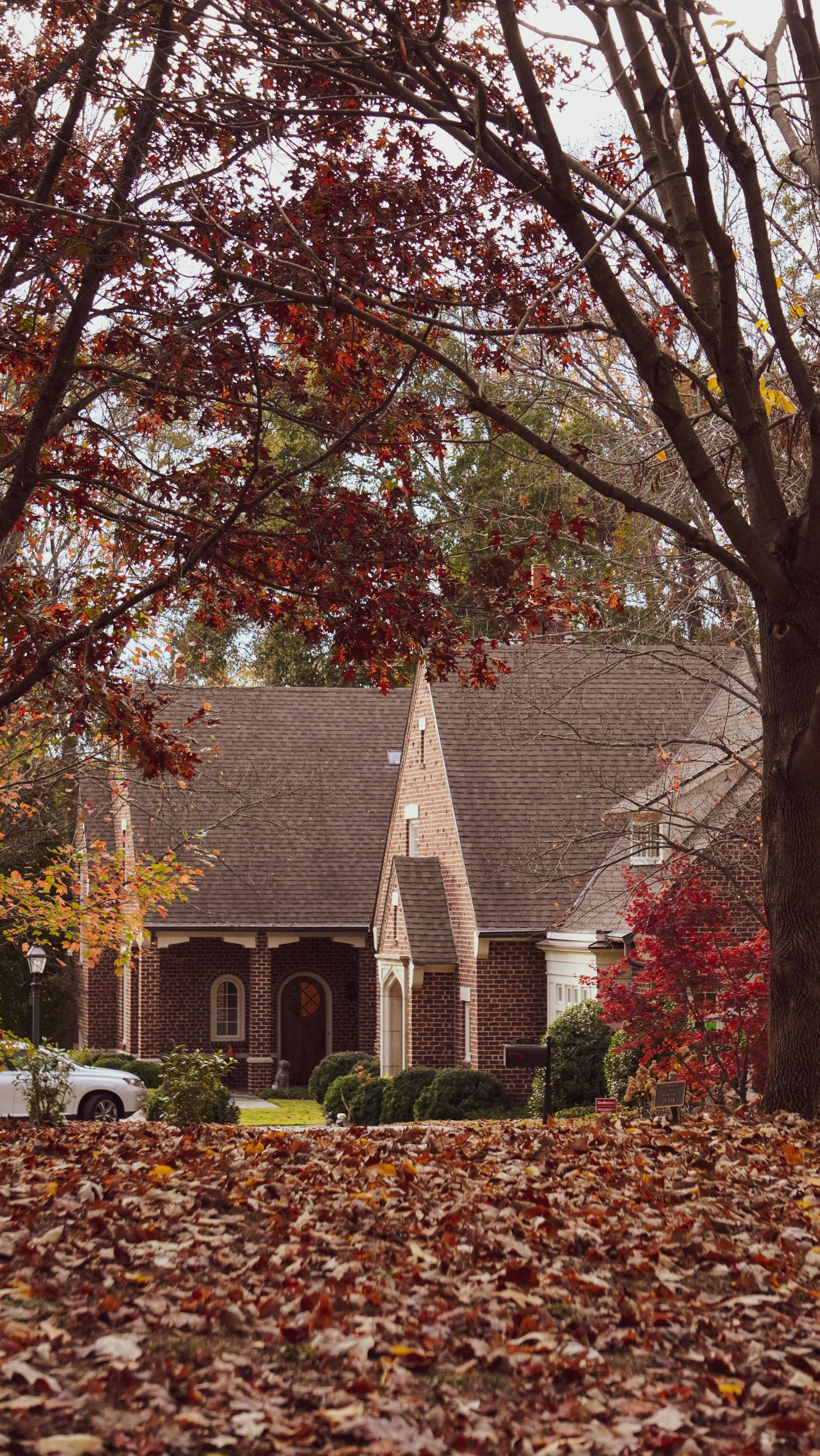 A house with a steep, stone-accented roof stands behind autumn trees, with brown leaves covering the ground in front.