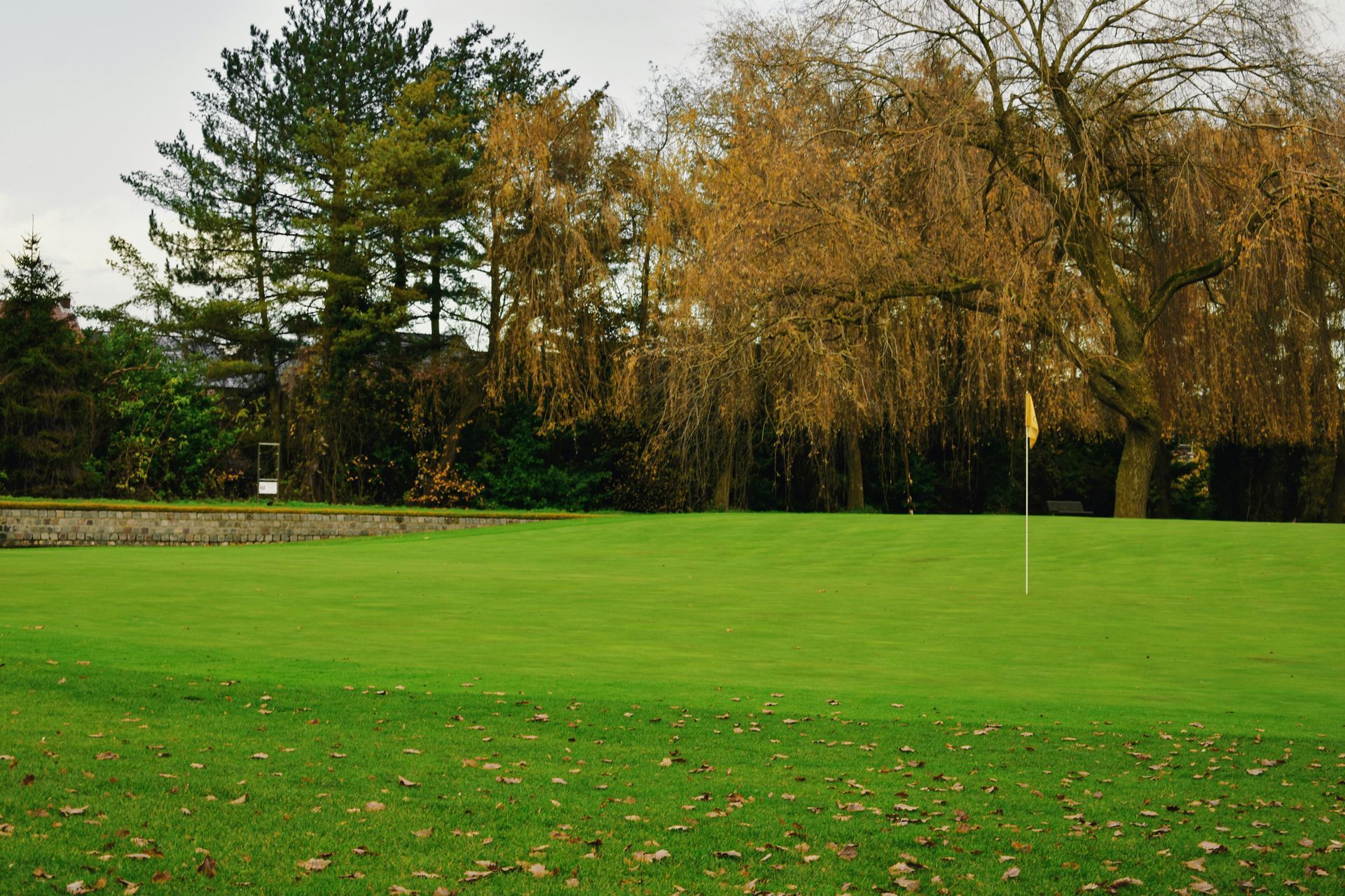 A green golf putting green with a yellow flag in the center, set against a backdrop of trees with autumn leaves.