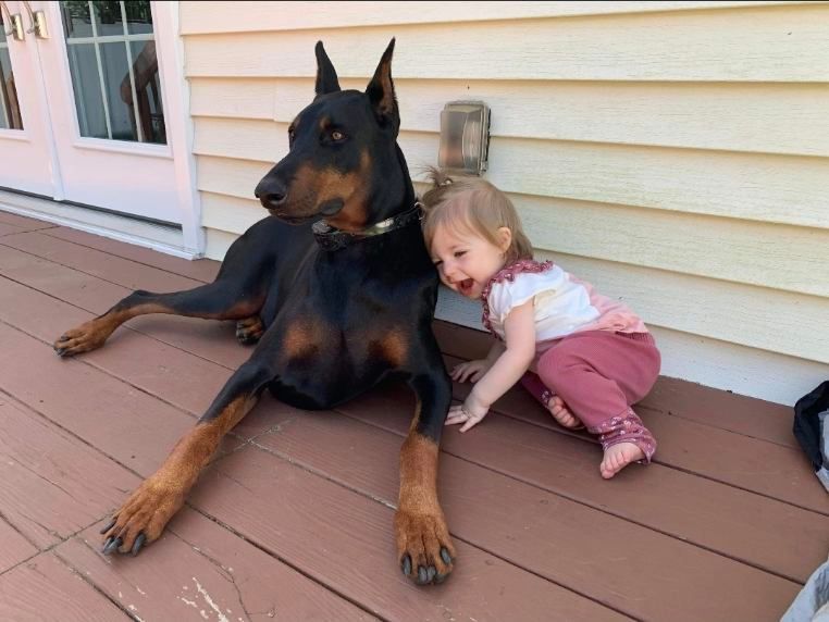 Child hugging a black-and-tan dog on a porch, both sitting beside a house wall